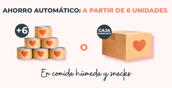 Canal Difusi&oacute;n WhatsApp by Pampermut